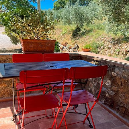 Agriturismo Schiaccia Ghiande Масса-Мариттима Экстерьер фото